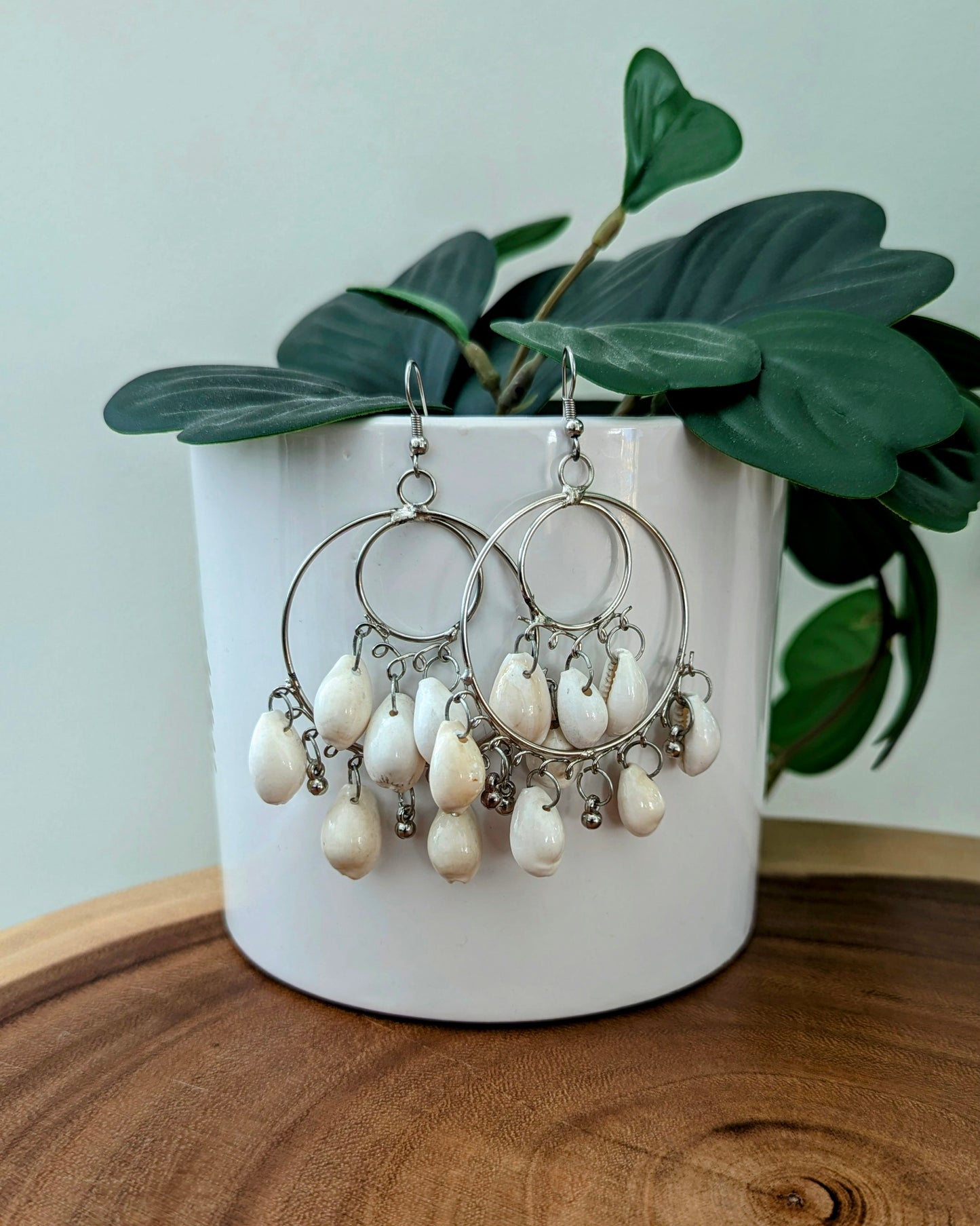 Cowrie Shell Hoops