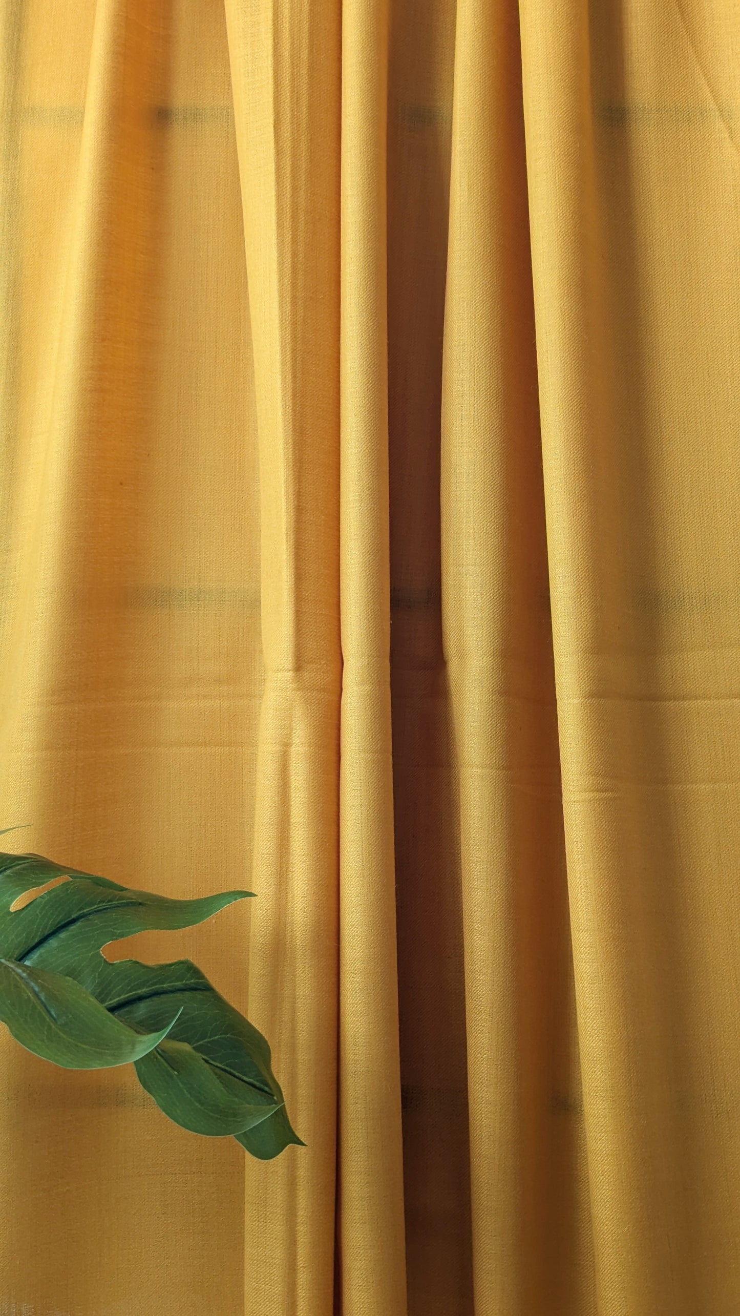 Cashmere Shawl - Yellow