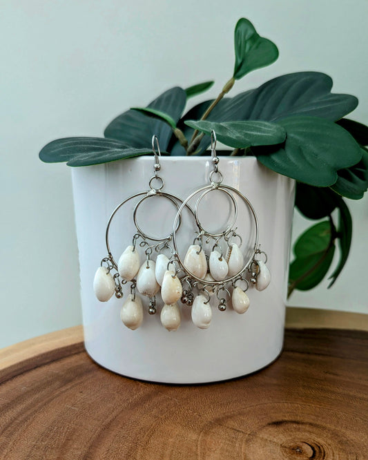 Cowrie Shell Hoops