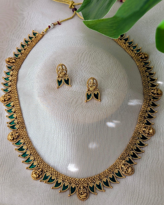 Palakka Haram Set