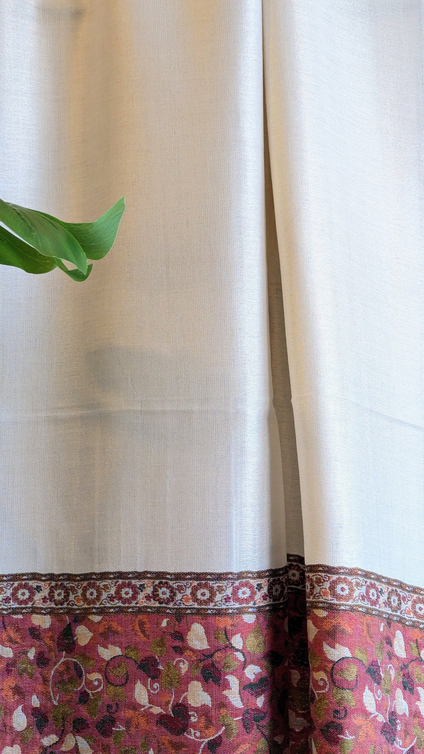 Moonshine Kani - Sadabahar