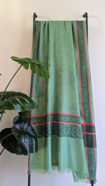 Elegant Kashmiri Shawls - Green