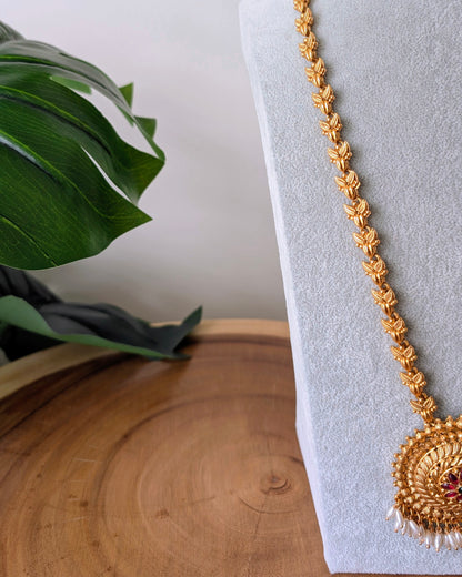 Sajni Traditional Long Golden Haram Necklace
