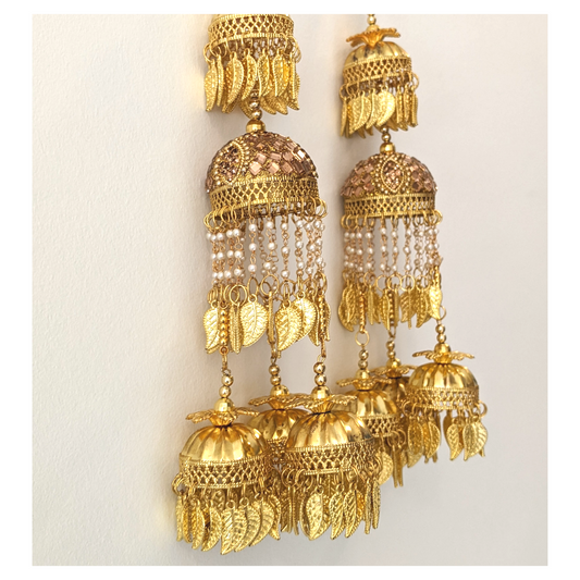 Punjabi Kaleere