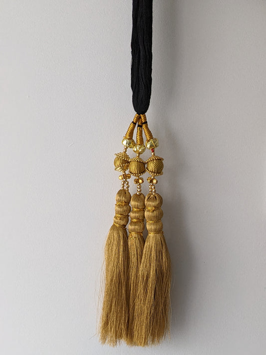 Punjabi Parandi